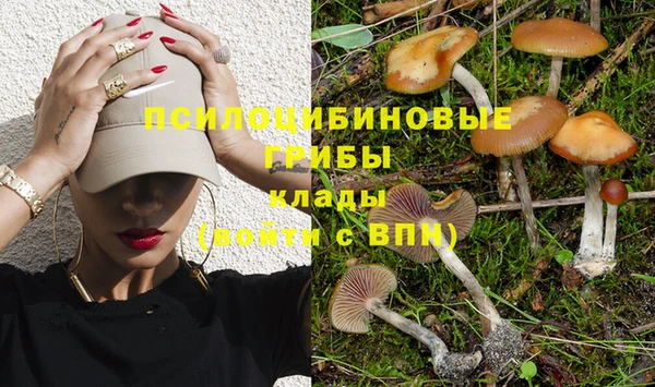 МДПВ Яранск