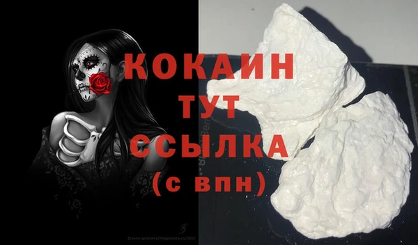 дживик Чердынь