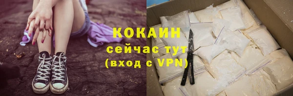 молекула духа Янаул