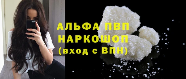 ПСИЛОЦИБИНОВЫЕ ГРИБЫ Чегем