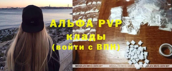 ПСИЛОЦИБИНОВЫЕ ГРИБЫ Чегем