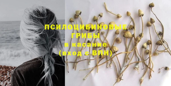 молекула духа Янаул