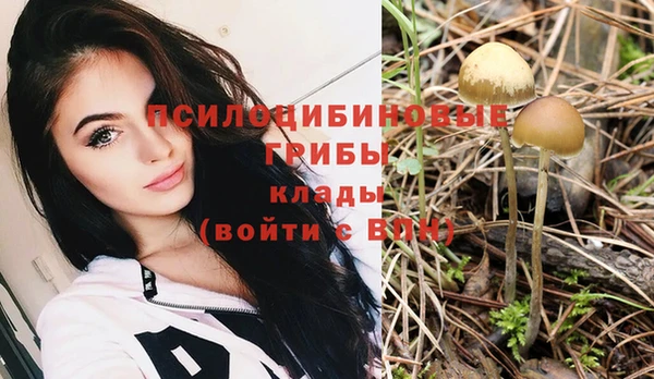 ПСИЛОЦИБИНОВЫЕ ГРИБЫ Чегем